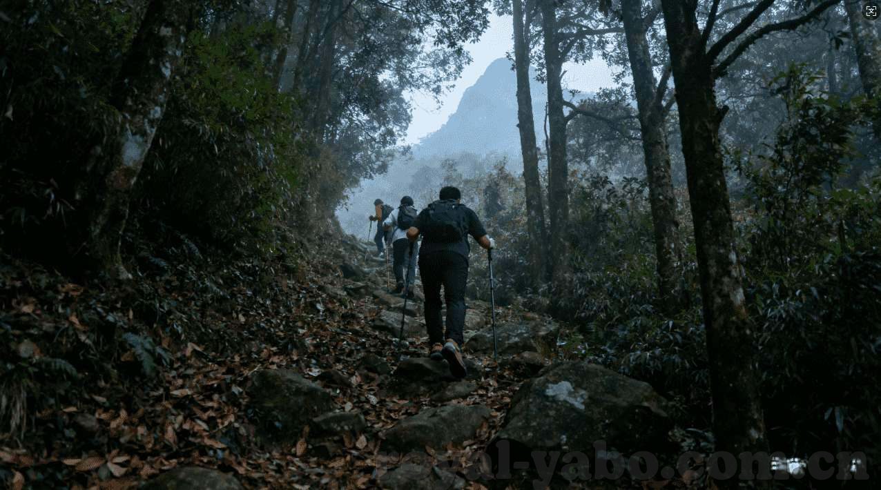 永利高娱乐场网址-永利高娱乐场网址，一个互联网娱乐之光的探索